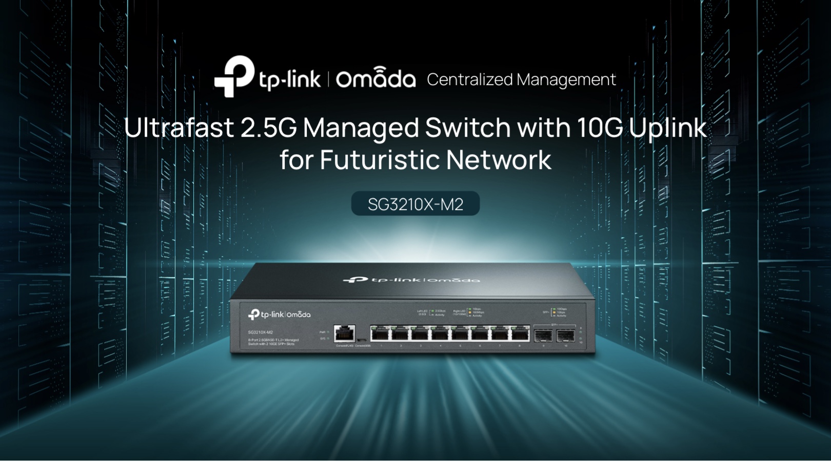 TP-Link Omada SG3210X-M2