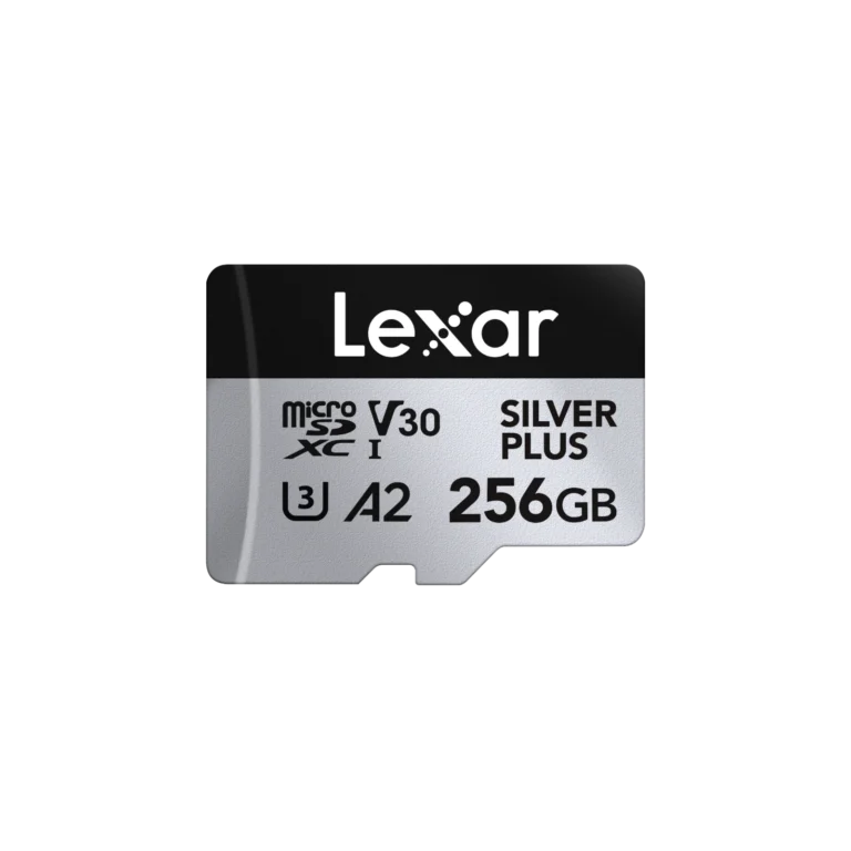 Lexar 256GB SILVER PLUS