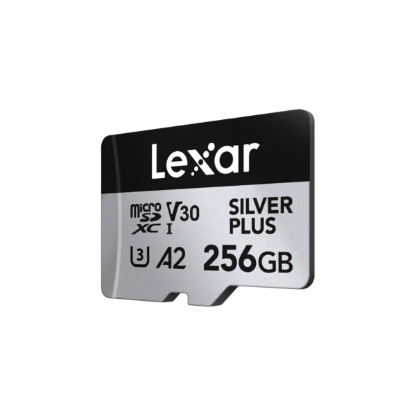 Lexar 256GB SILVER PLUS
