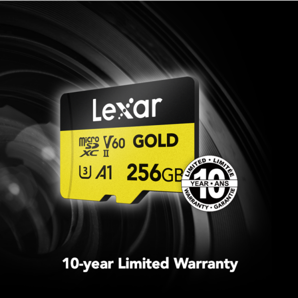 Lexar 256GB professional gold