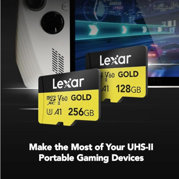 Lexar 256GB professional gold