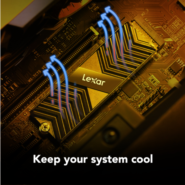 Lexar Professional NM800 PRO